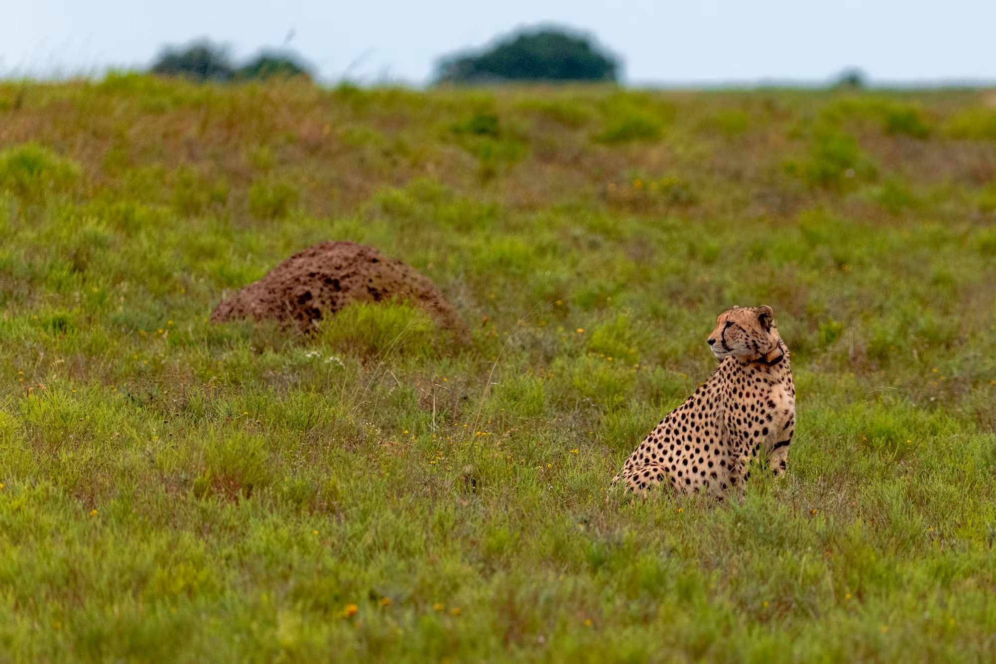 The Art of Game Design: Crafting Immersive Experiences